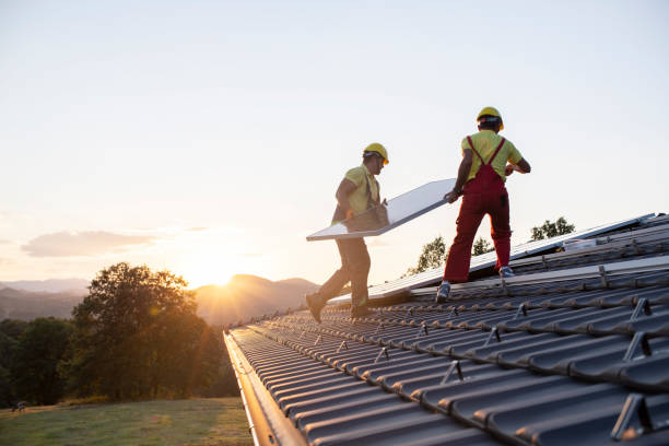 Best Roof Moss and Algae Removal  in Paris, TN